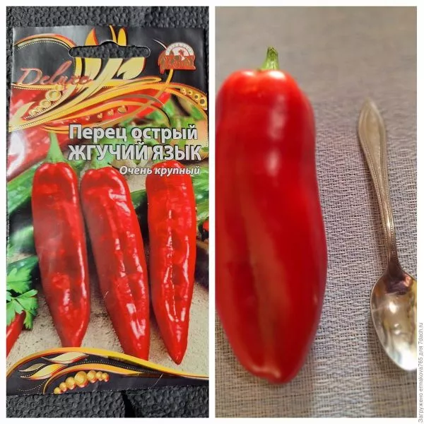 zhguchiy-yazyk-1-180131