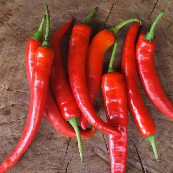 zhguchiy-yazyk-2-180131