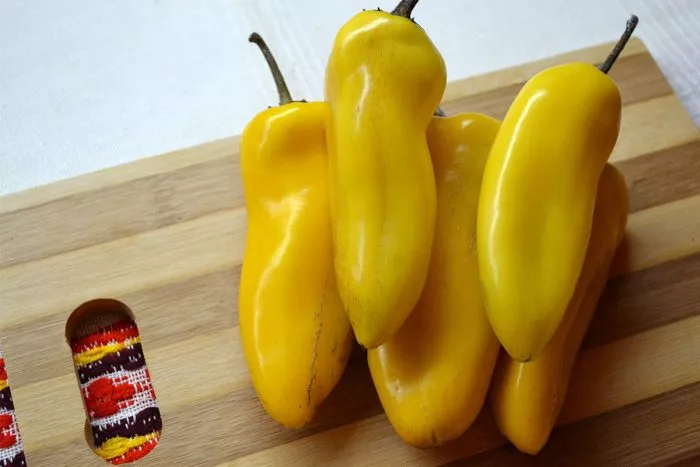 zolotaya-osa-main-188922