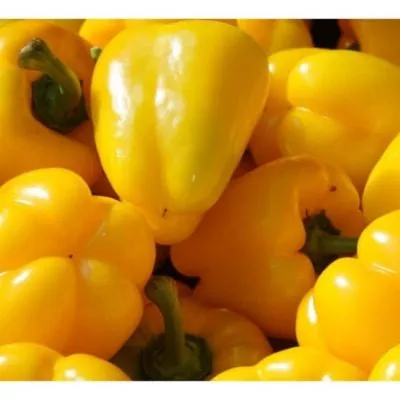 zolotoy-bochonok-4-179603