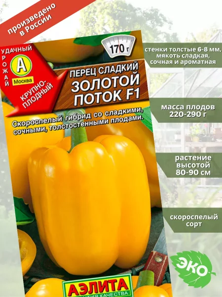 zolotoy-potok-4-183621