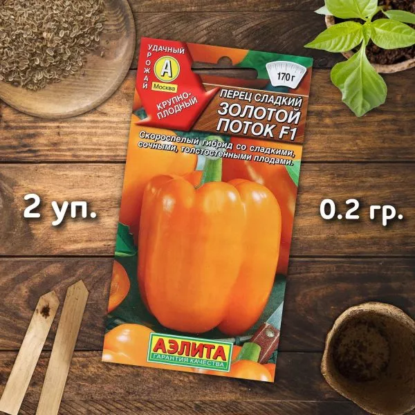 zolotoy-potok-6-183621