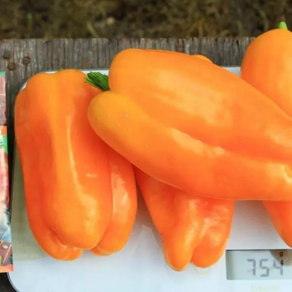 zolotoy-potok-main-183621