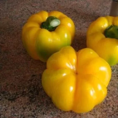 zolotye-kupola-3-183297