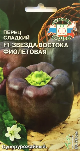 zvezda-vostoka-fioletovaya-1-184141