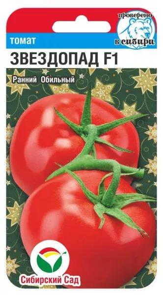 zvezdopad-f1-1-171310