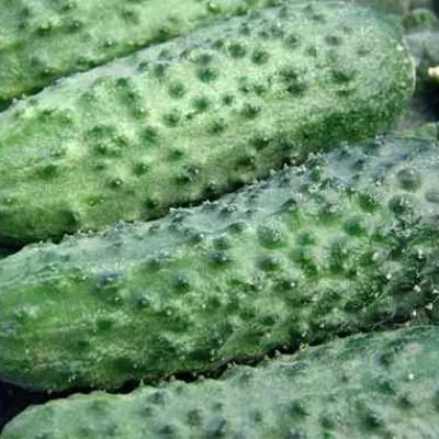 ali-baba-main-207071