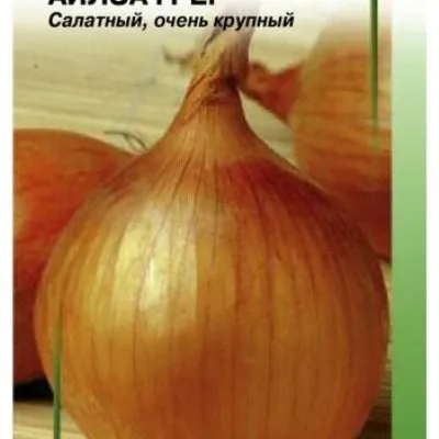 aylsa-greyg-5-221914