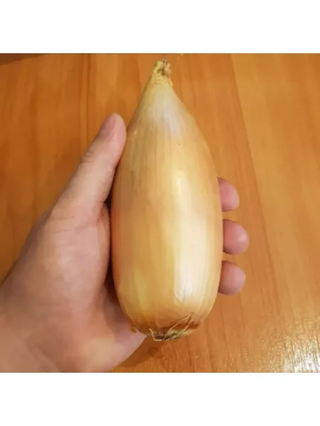 bananovyy-delikates-1-222428