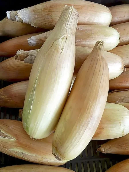 bananovyy-delikates-2-222428