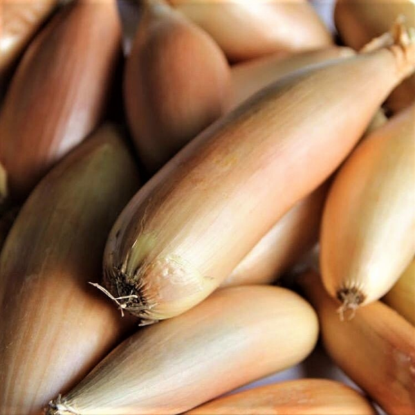 bananovyy-delikates-main-222428