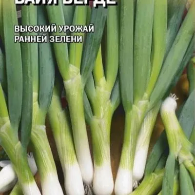 bayya-verde-4-222527