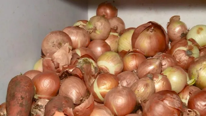 bessonovskiy-mestnyy-5-223596