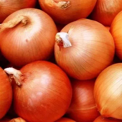 bessonovskiy-mestnyy-8-223596