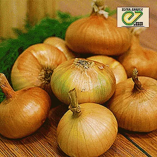 bessonovskiy-mestnyy-main-223596