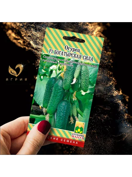 bogatyrskaya-sila-2-203847