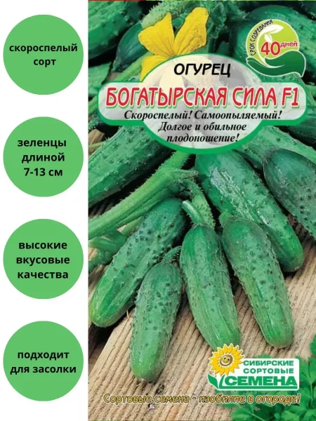 bogatyrskaya-sila-4-203847