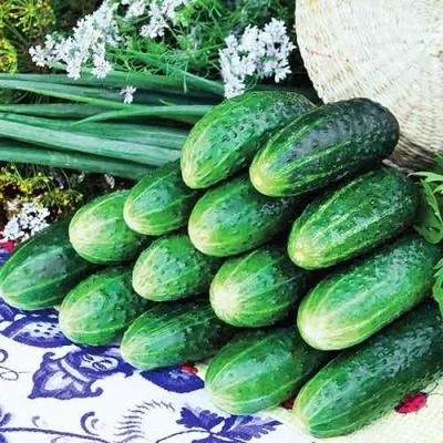 bogatyrskaya-sila-6-203847