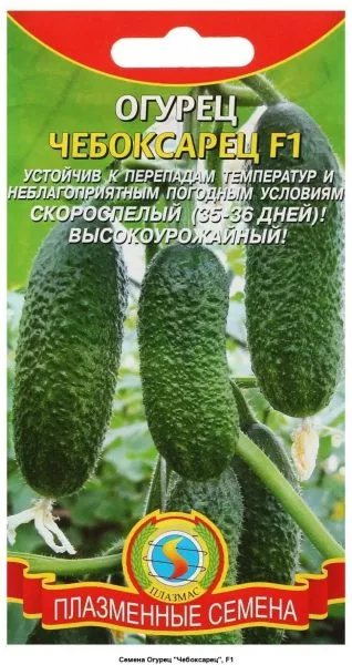 cheboksarets-2-202414