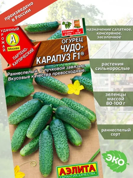 chudo-karapuz-2-202865