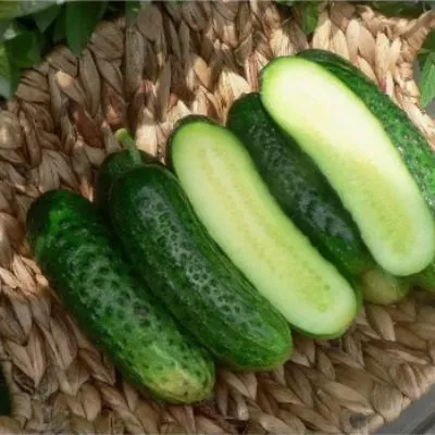 chudo-karapuz-6-202865