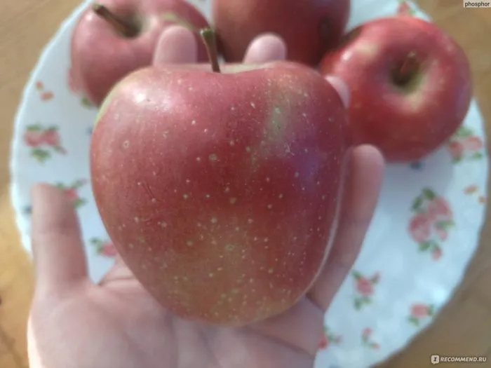 delishes-prevoshodnoe-6-219881