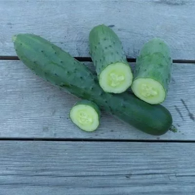 dyadya-stepa-3-207040