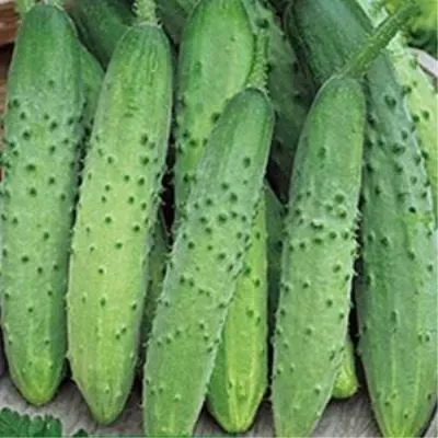 dyadya-stepa-5-207040