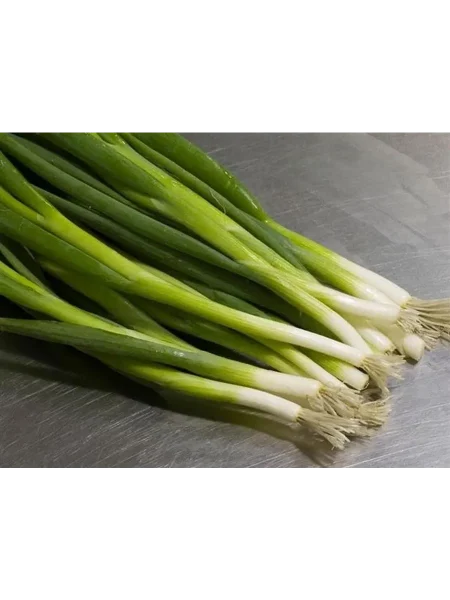 enerdzhi-main-221658