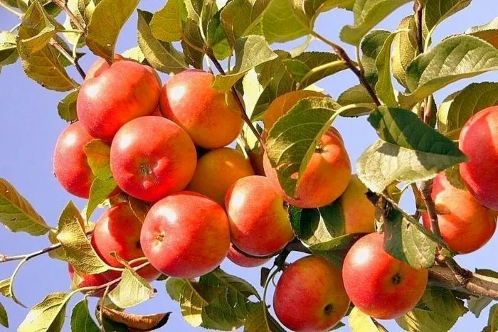 erli-zheneva-main-218059