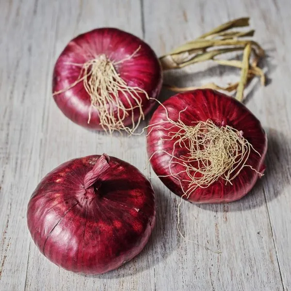 genuezskiy-main-222499