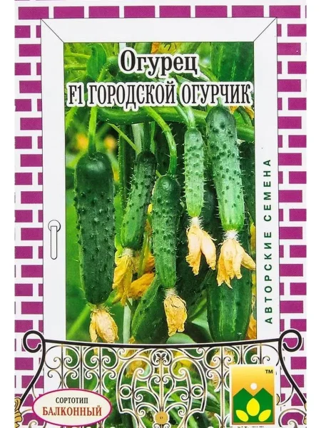 gorodskoy-ogurchik-5-202100