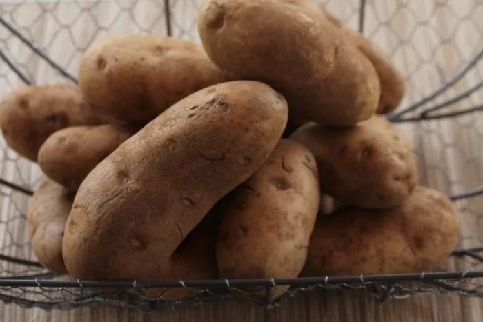 havroshechka-1-211826