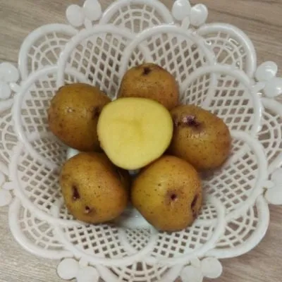 havroshechka-8-211826