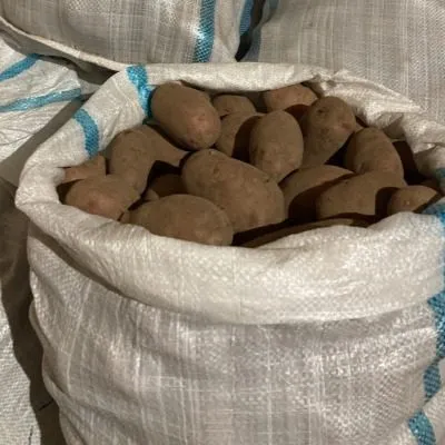 holmogorskiy-4-211662