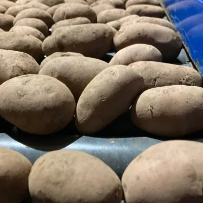 holmogorskiy-main-211662