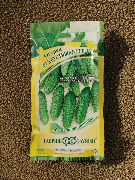 hrustyaschaya-gryadka-1-205817