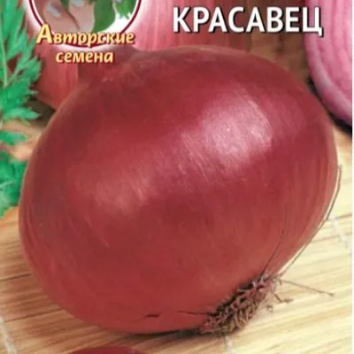 krasavets-main-223635