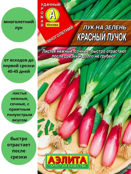 krasnyy-puchok-1-222608