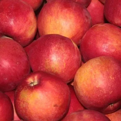 krasnyy-ruban-8-219201