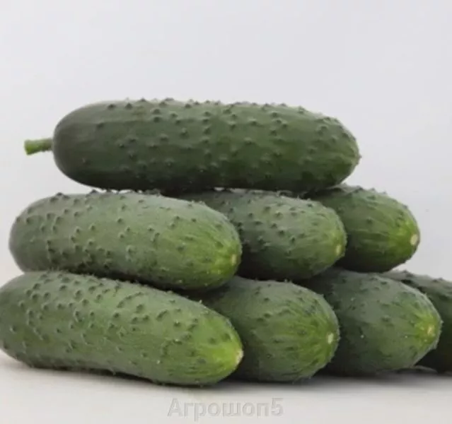 ks-70-ks-70-6-206886