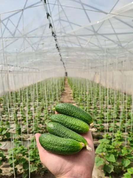 luhovitskiy-3-205829