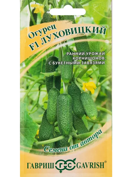 luhovitskiy-4-205829