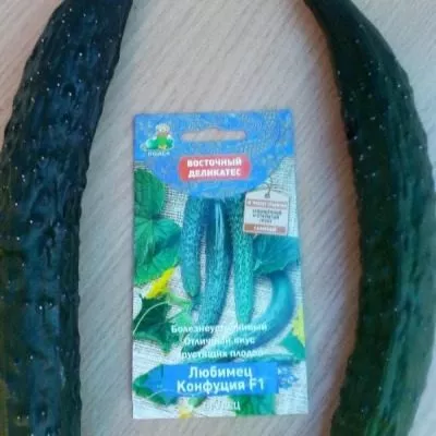 lyubimets-konfutsiya-4-207206