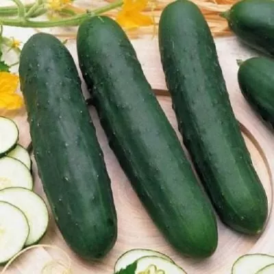 lyubimyy-muzhchina-main-203787