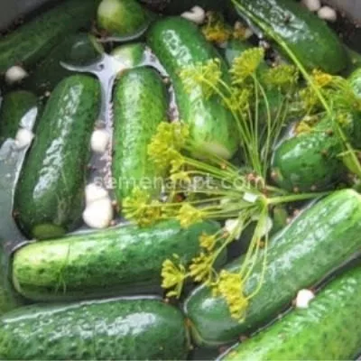 maloholnyy-main-206871