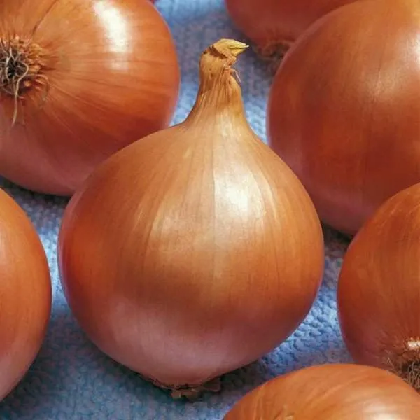 missisipi-main-222516