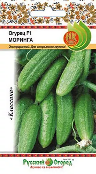 moringa-1-205822