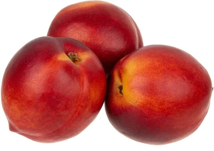 nektarin-lyubimets-5-224883