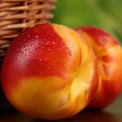 nektarin-super-kvin-9-223994